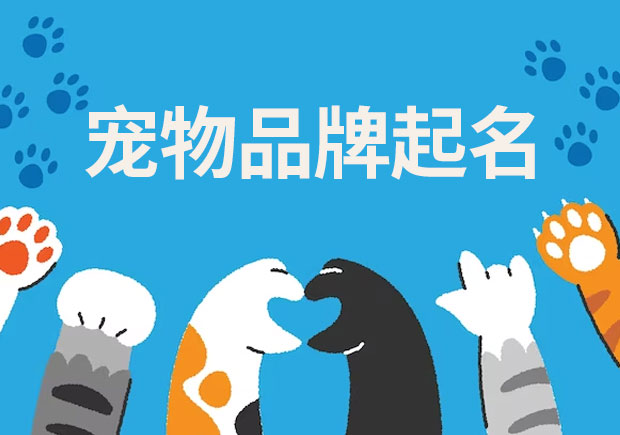 探索寵物品牌起名的奧秘：技巧、來歷與差異
