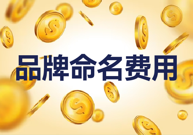 國(guó)內(nèi)外品牌命名費(fèi)用是多少？