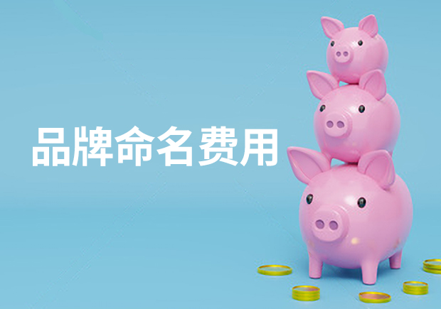 品牌命名費(fèi)用-品牌起名多少錢(qián)合適？