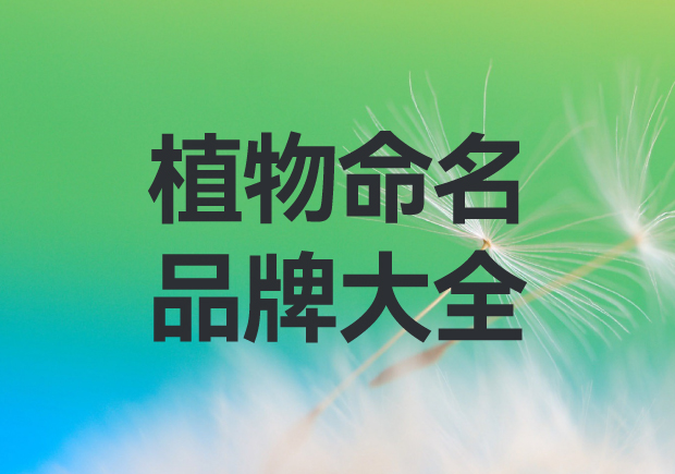 以植物命名的品牌有哪些？