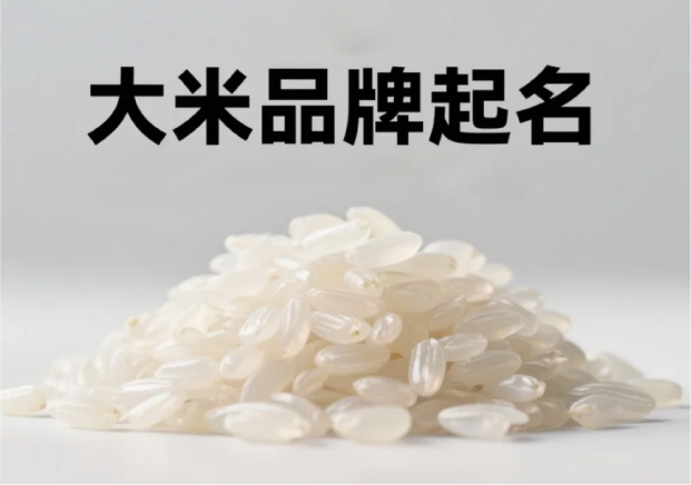 大米品牌起名創(chuàng)意-在米粒之間-書(shū)寫(xiě)品牌的大文章-探鳴起名網(wǎng).jpg 大米品牌起名創(chuàng)意-在米粒之間-書(shū)寫(xiě)品牌的大文章-探鳴起名網(wǎng).jpg